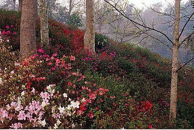 《凯恩的遗产1+2复刻版》预告片展示重制boss模型